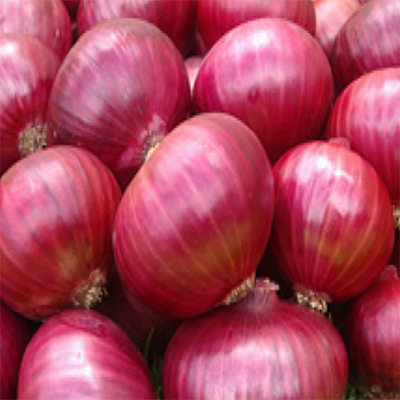 Onion